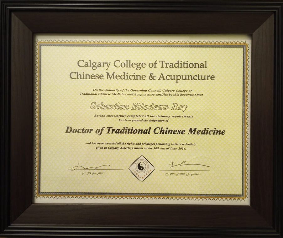 Doctor of Traditional Chinese Medicine and Acupuncture